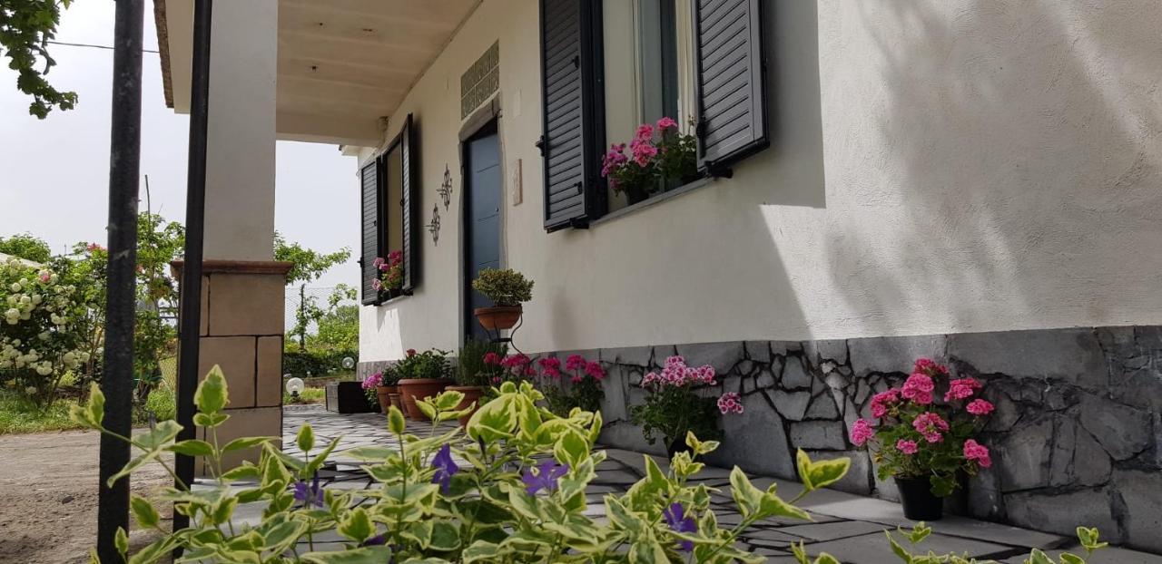 Etna, Salvia E Rosmarino Villa Maletto Exterior photo